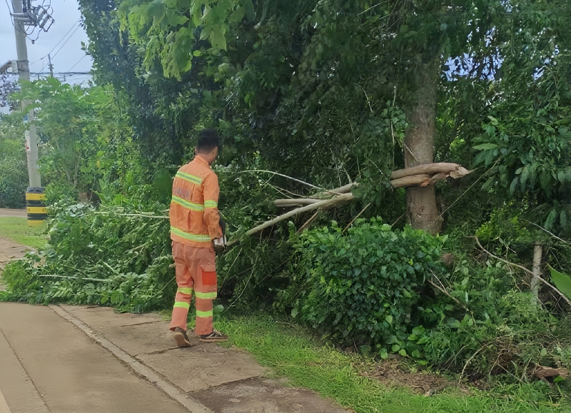 jxf吉祥坊(中国集团)官方网站